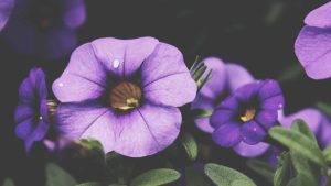 Review: Recent Horror Collections