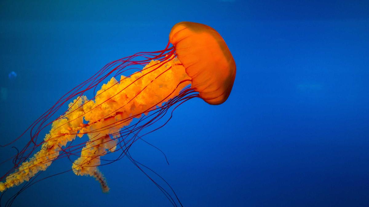 Împotriva finalului curat: de ce poveștile continuă să respire după ultima linie